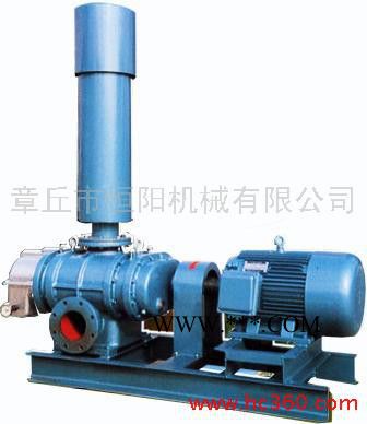 供应恒阳HYSR175罗茨鼓风机/三叶罗茨鼓风机图2