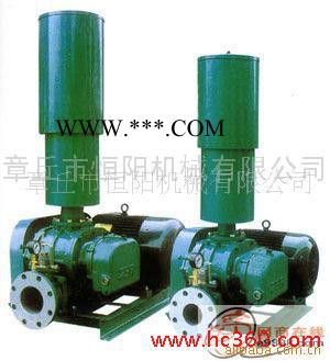 供应恒阳牌HYSR50-300罗茨鼓风机/章丘鼓风机图2