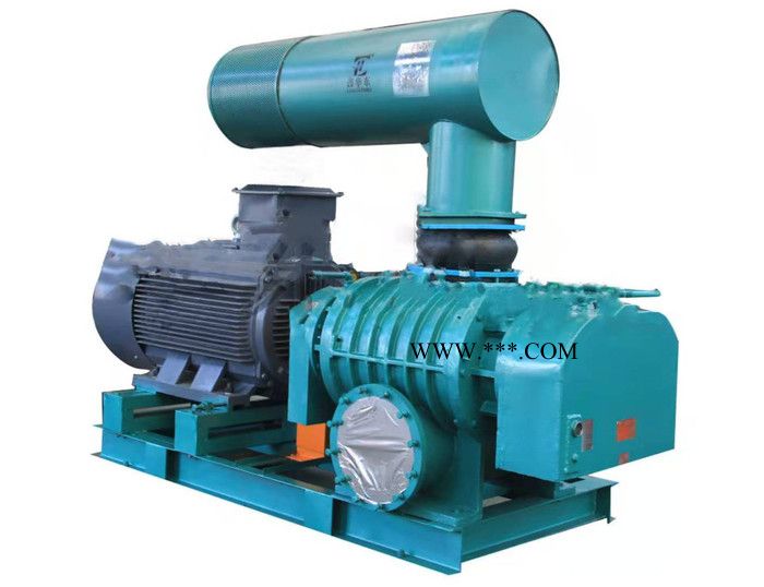 生产三叶罗茨鼓风机 三叶罗茨风机 气力输送设备 污水曝气鼓风机 罗图4