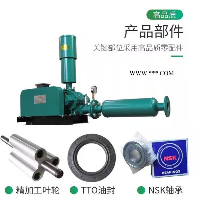 生产三叶罗茨鼓风机 三叶罗茨风机 气力输送设备 污水曝气鼓风机 罗图5