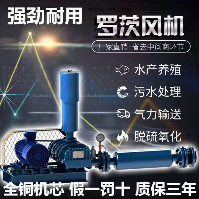 生产三叶罗茨鼓风机 三叶罗茨风机 气力输送设备 污水曝气鼓风机 罗图2
