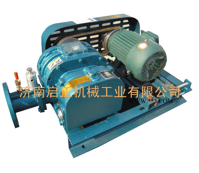 供应CCR三叶罗茨鼓风机参数 三叶鼓风机参数图2