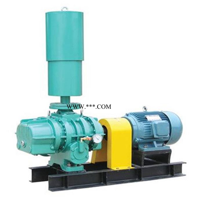 恒宇 罗茨风机 三叶罗茨风机 高压罗茨鼓风机 罗茨鼓风机生产厂家图2