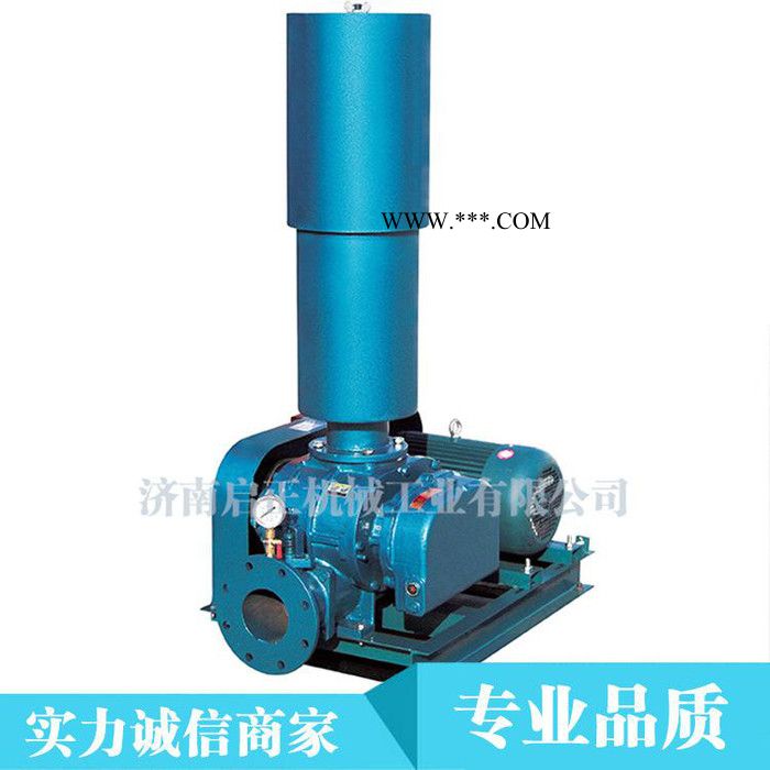 供应【啟正】牌鼓风机 **罗茨鼓风机 气化风机氧化风机图3