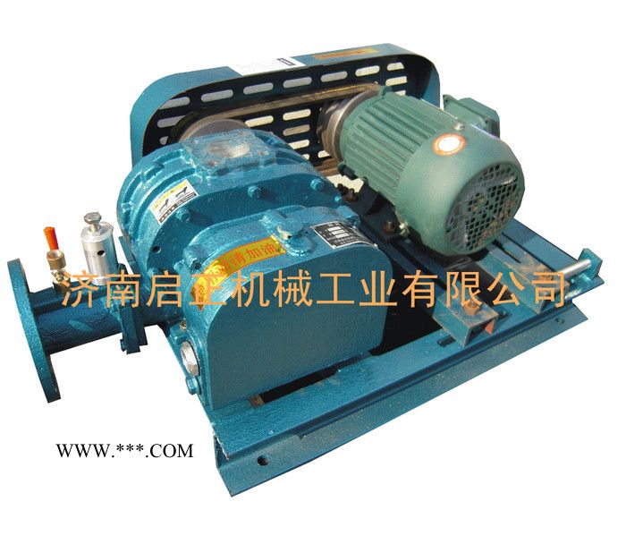 供应CCR【三叶罗茨鼓风机】三叶螺旋鼓风机 三叶鼓风机图5