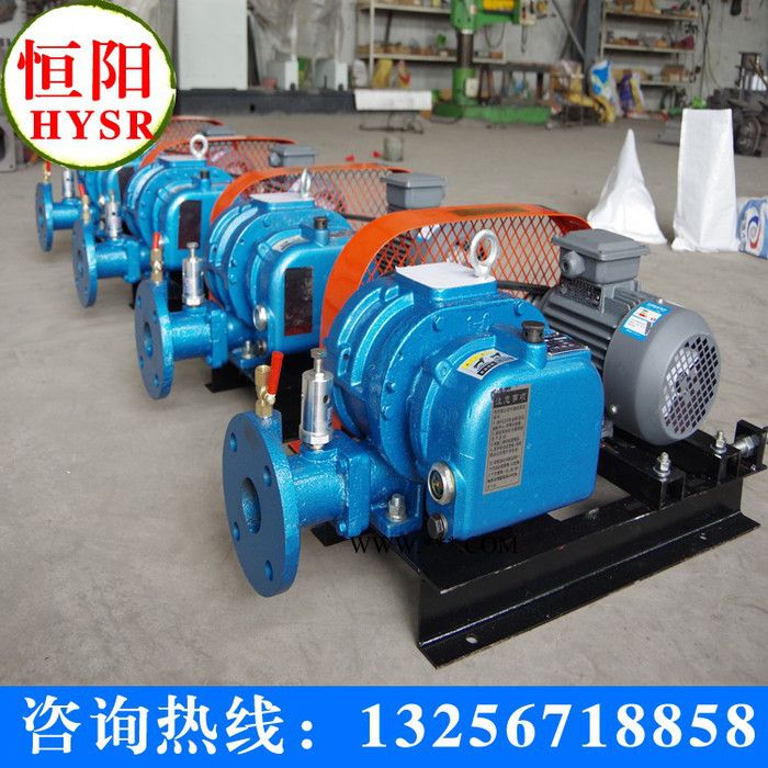 恒阳HYSR250罗茨鼓风机图3