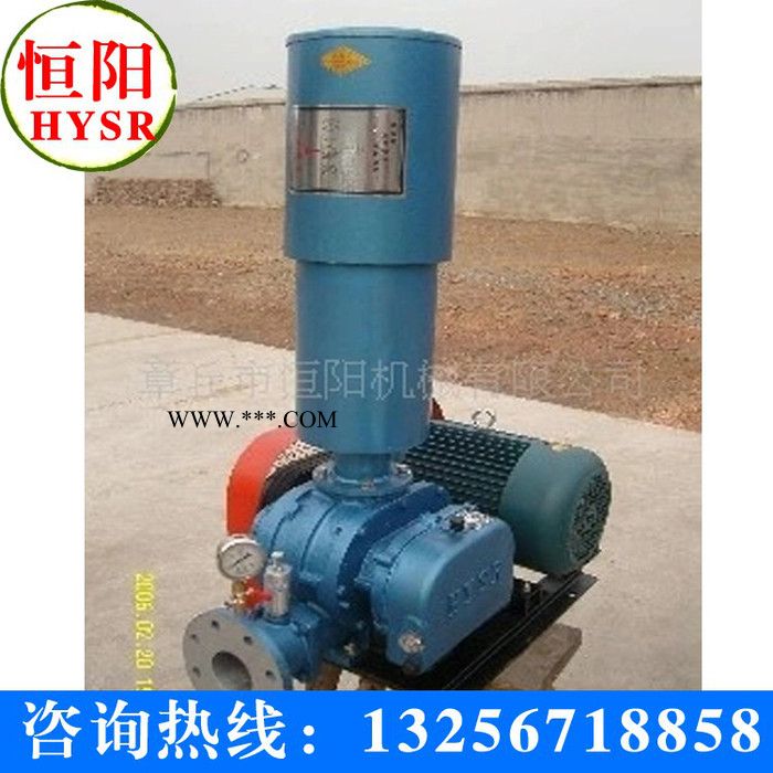 恒阳HYSR250罗茨鼓风机图2