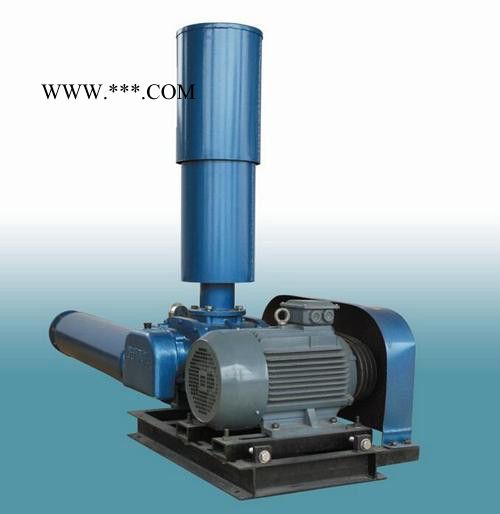 三叶罗茨鼓风机 气力输送设备污水曝气鼓风机 勇龙环保公司图2