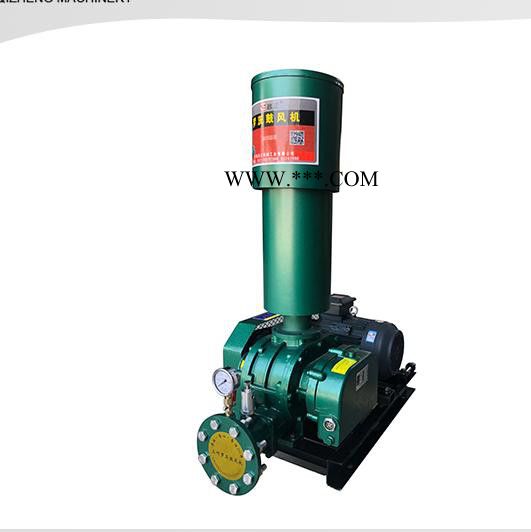 供应三叶鼓风机 罗茨鼓风机 容积式罗茨鼓风机 耐磨高压 高压防爆 支持定做图4