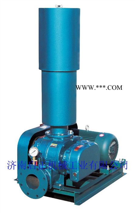 供应启正牌【CCR罗茨鼓风机】三叶鼓风机 山东风机图2