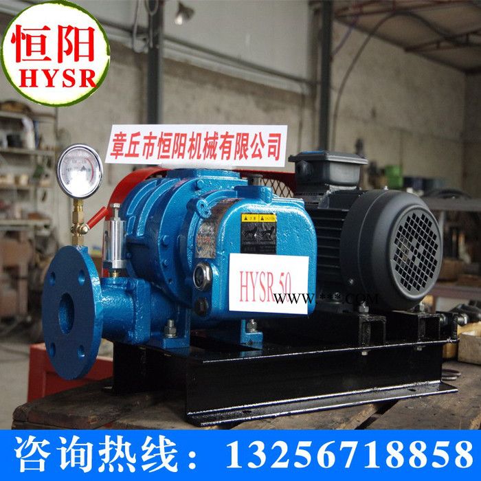 供应罗茨鼓风机 三叶罗茨鼓风机图2