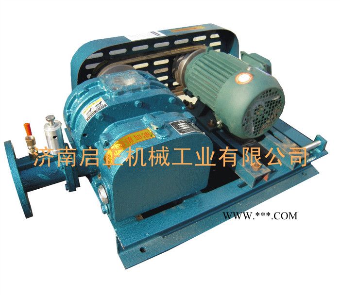 供应大风量 高压鼓风机 三叶鼓风机 启正直销图3