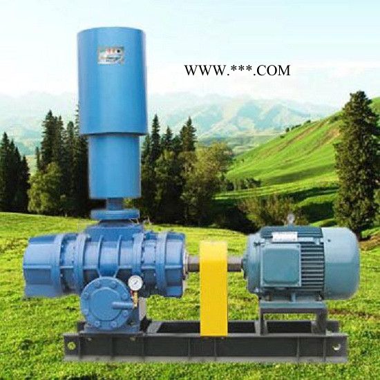 明阳牌 HYSR150 恒阳罗茨鼓风机 鼓风机厂家 质量保证  罗茨鼓风机厂家 专业生产维修低压风机图2