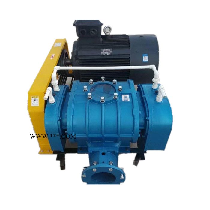 裕丰达 罗茨鼓风机   风机  污水处理  三叶罗茨鼓风机 山东**图5