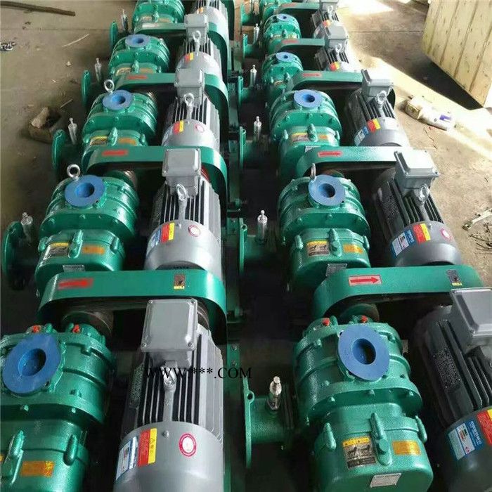 鑫沣XFSR-125 三叶罗茨鼓风机 熔喷布设备鼓风机气压稳定图3