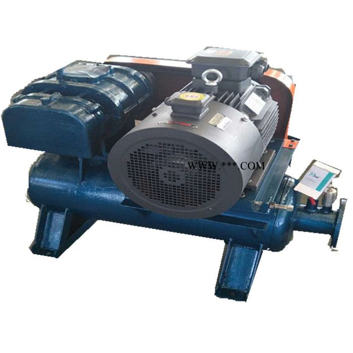 鑫沣XFSR-125 三叶罗茨鼓风机 熔喷布设备鼓风机气压稳定图5