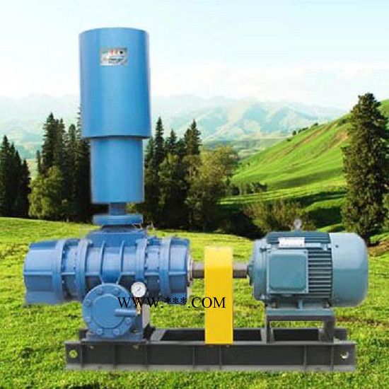 恒阳罗茨鼓风机 鼓风机厂家 鼓风机 质量保证 三叶罗茨风机图2