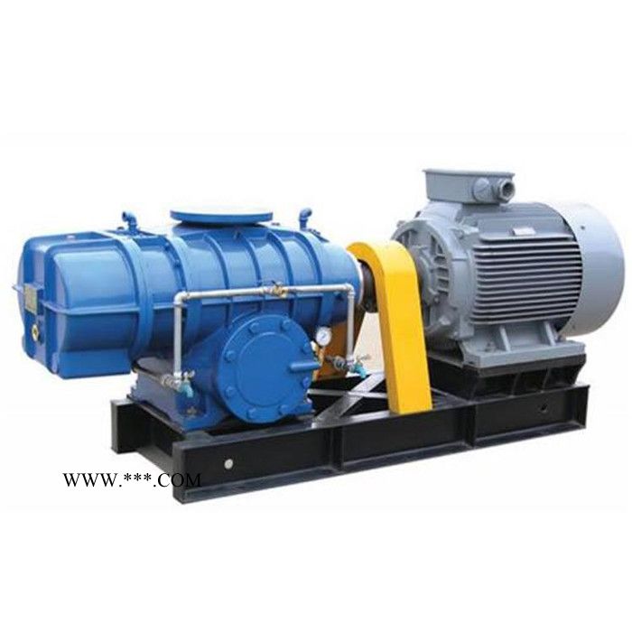 恒宇 罗茨风机 高压罗茨鼓风机 三叶罗茨鼓风机 罗茨风机厂家 现货出售图2