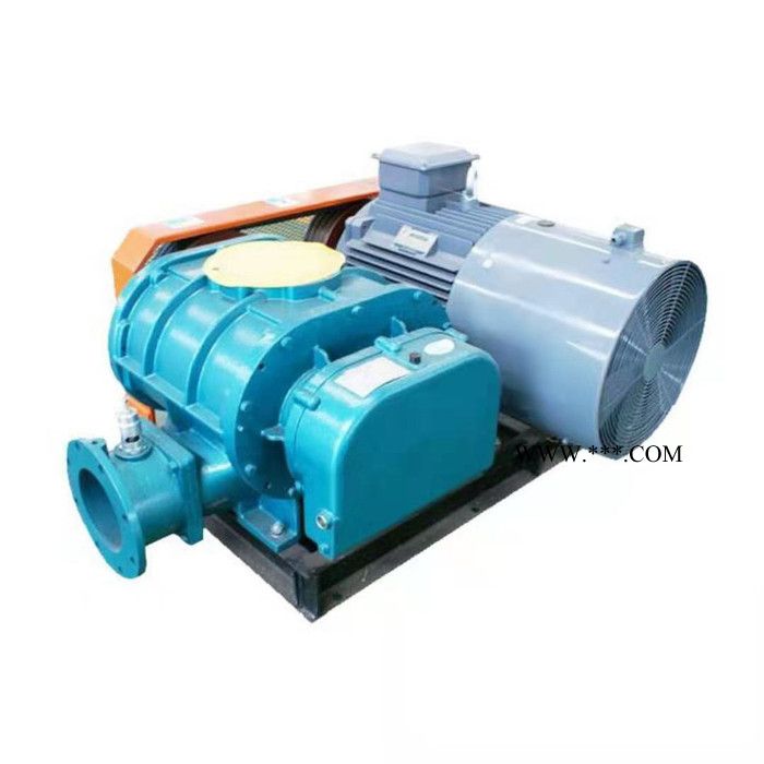 恒宇 罗茨风机 高压罗茨鼓风机 三叶罗茨鼓风机 罗茨风机厂家 现货出售图4