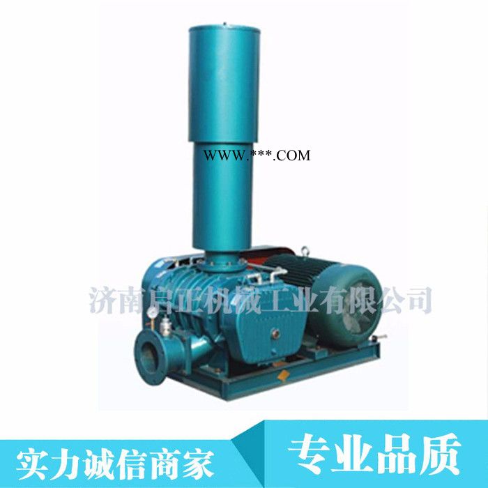 啟正牌CCR150高压力大风量罗茨鼓风机  高压鼓风机图5