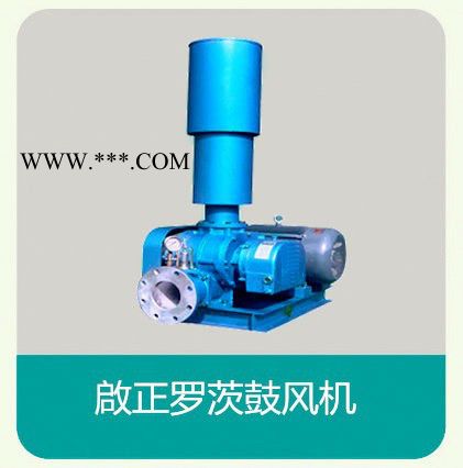 啟正牌CCR150高压力大风量罗茨鼓风机  高压鼓风机图4