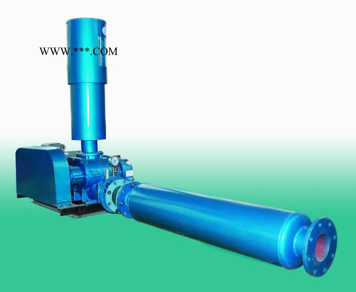 啟正牌CCR150高压力大风量罗茨鼓风机  高压鼓风机图3