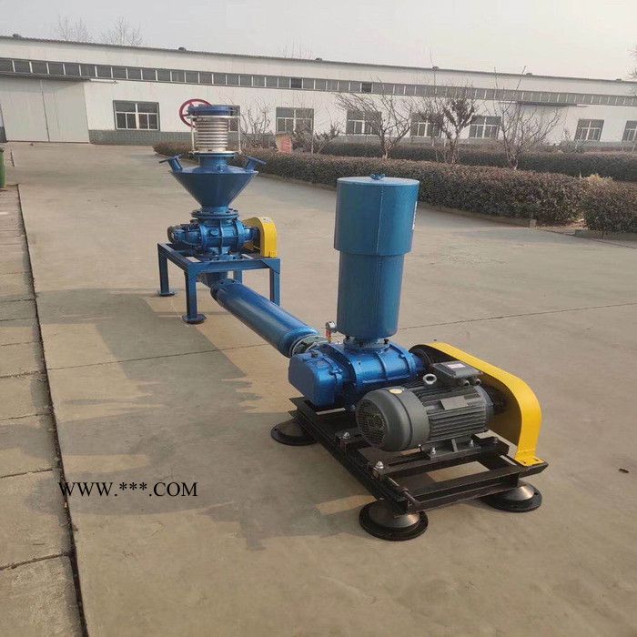 源丰ZCSR 罗茨风机  三叶罗茨鼓风机  防爆罗茨鼓风机 质量佳图4