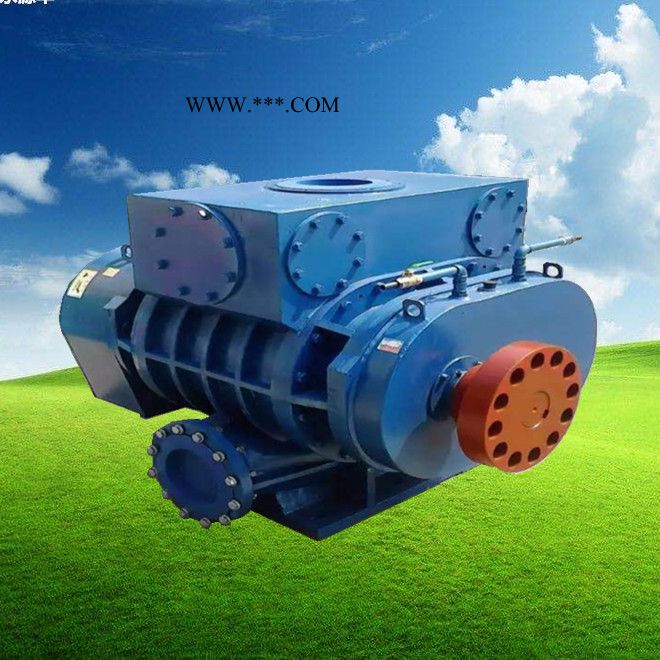 源丰ZCSR 罗茨风机  三叶罗茨鼓风机  防爆罗茨鼓风机 质量佳图2