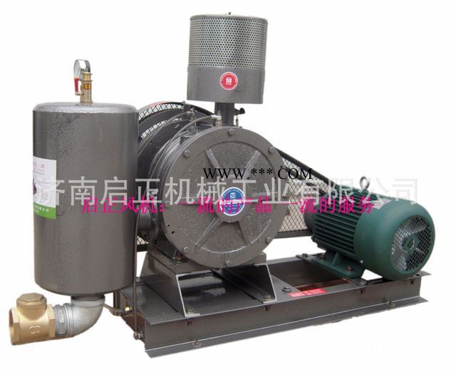 啟正HCC125B 回转式鼓风机 滑片式鼓风机 厂家供应图2