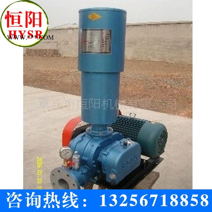 供应新型HYSR罗茨鼓风机- 三叶罗茨鼓风机图3