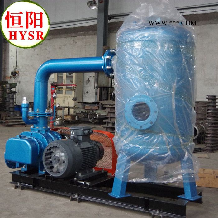 供应新型HYSR罗茨鼓风机- 三叶罗茨鼓风机图2