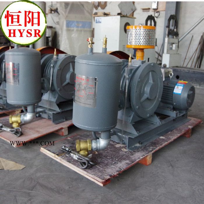 提供服务罗茨鼓风机图2