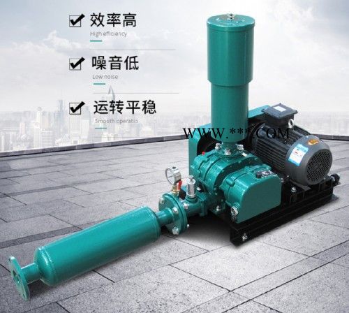 啟正CCR80化肥行业 用的容积式鼓风机 三叶罗茨鼓风机图5