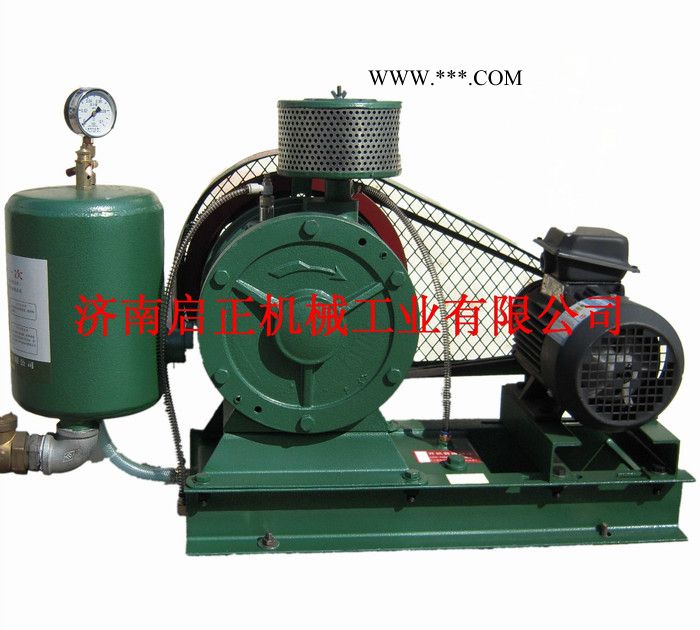 供应启正气力输送鼓风机回转鼓风机/低噪音回转风机图2