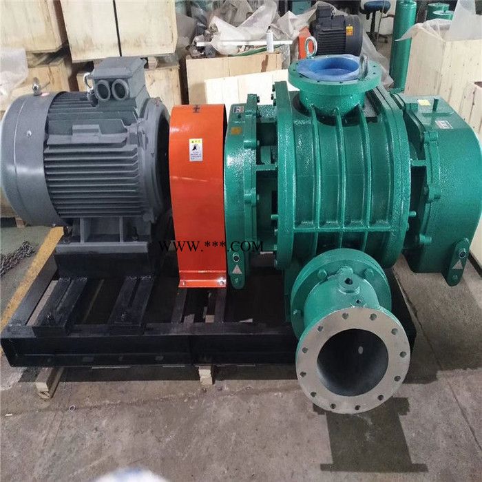 鑫沣XFSR-150 三叶罗茨鼓风机 污水处理厂用罗茨鼓风机易维护图2