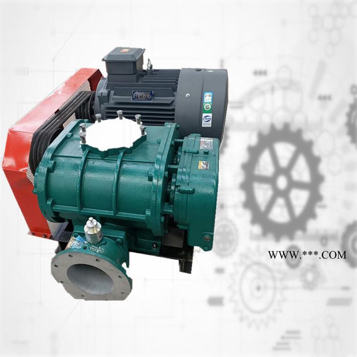 鑫沣XFSR-150 三叶罗茨鼓风机 污水处理厂用罗茨鼓风机易维护图4