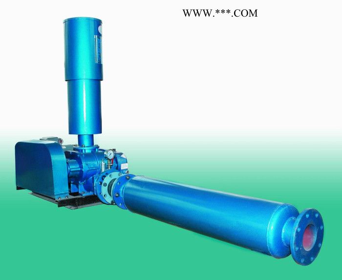 供应啟正牌鼓风机 **罗茨鼓风机 三叶罗茨鼓风机 鼓风机图2