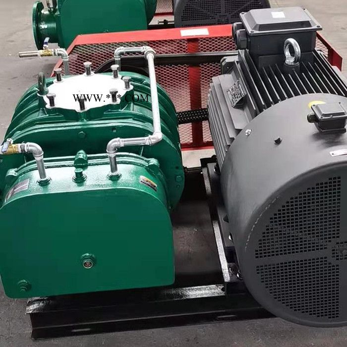 和立HLSR 罗茨鼓风机生产 罗茨鼓风机销售 罗茨鼓风机厂 体积小 效率高 噪音低图3