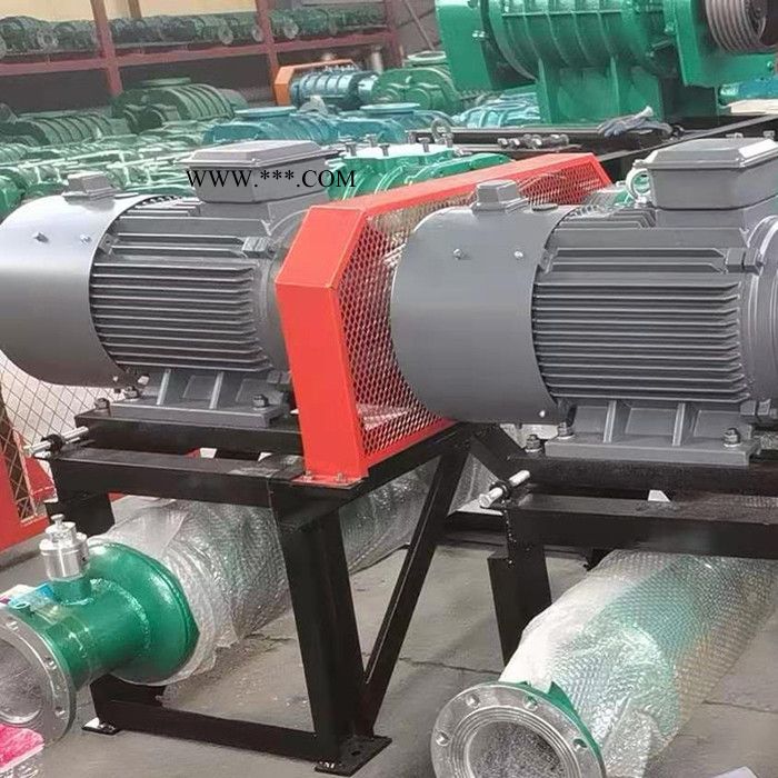 和立HLSR 罗茨鼓风机生产 罗茨鼓风机销售 罗茨鼓风机厂 体积小 效率高 噪音低图2