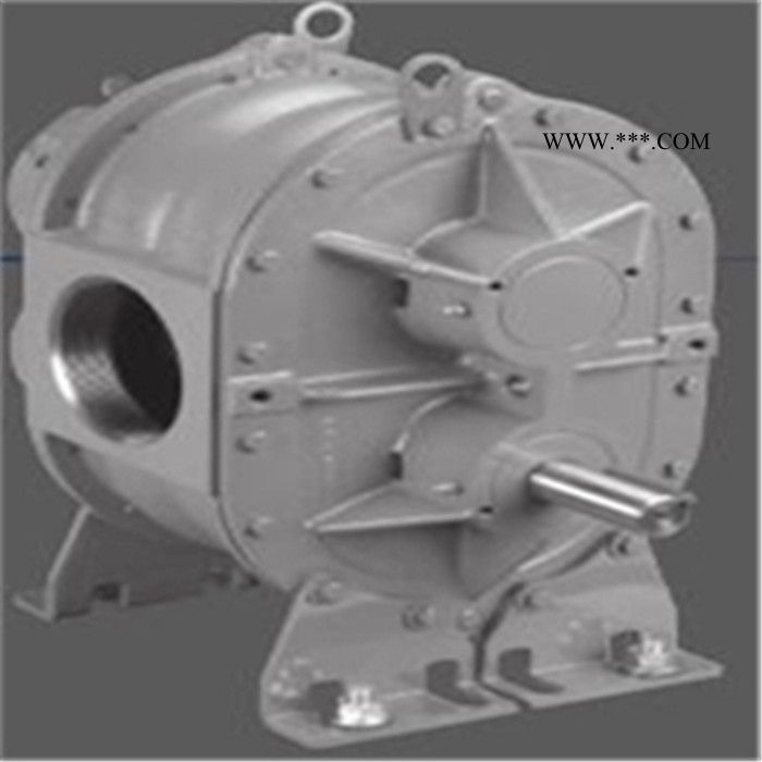 美国ROOTS鼓风机图4