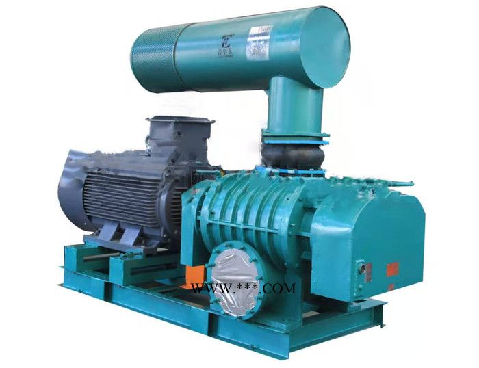 山东三叶罗茨鼓风机 气力输送罗茨风机 罗茨风机厂家 罗茨鼓风机定制批发图2