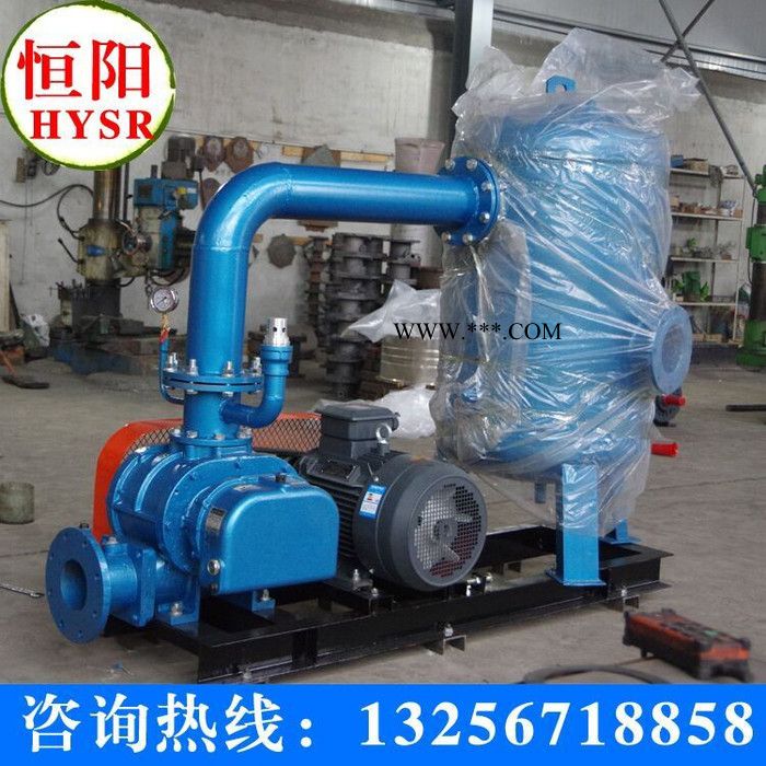 供应恒阳200章丘罗茨鼓风机/三叶罗茨鼓风机风机专用油图2