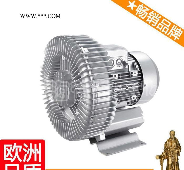 漩涡高压鼓风机 高压漩涡气泵 漩涡式鼓风机 HG汉图3