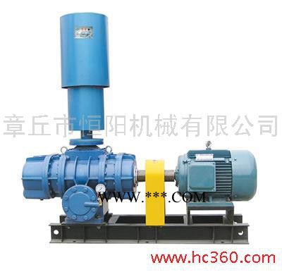 供应罗茨鼓风机/低噪音鼓风机图2