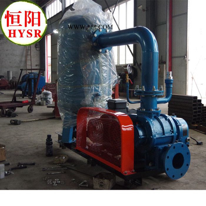 供应恒阳罗茨鼓风机/三叶罗茨鼓风机 /罗茨风机图2