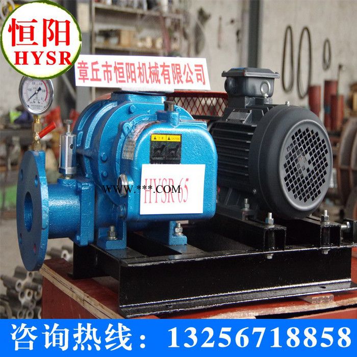 供应恒阳罗茨鼓风机/三叶罗茨鼓风机 /罗茨风机图3