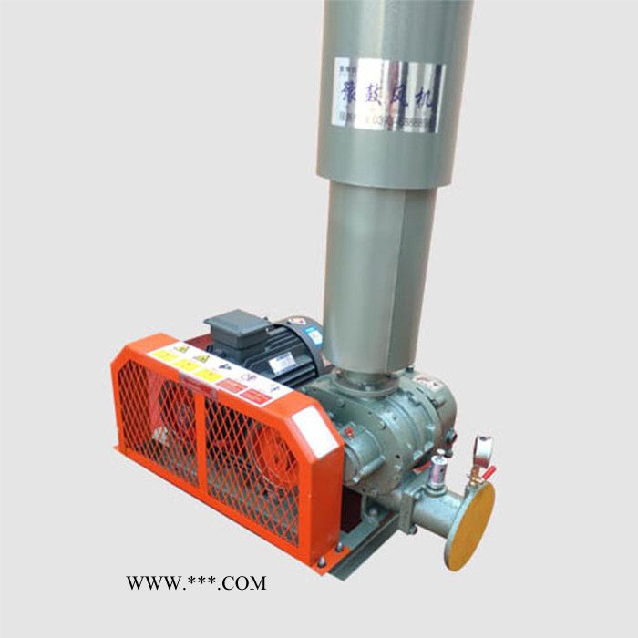 高压罗茨鼓风机 三叶罗茨鼓风机 气化罗茨鼓风机图8