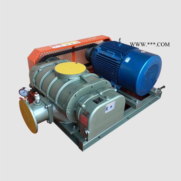 高压罗茨鼓风机 三叶罗茨鼓风机 气化罗茨鼓风机图4