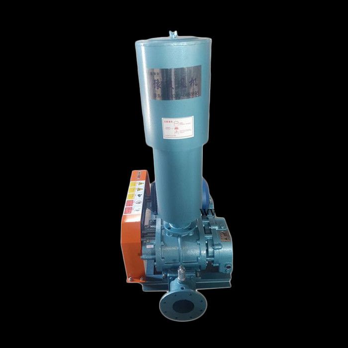 高压罗茨鼓风机 三叶罗茨鼓风机 气化罗茨鼓风机图5