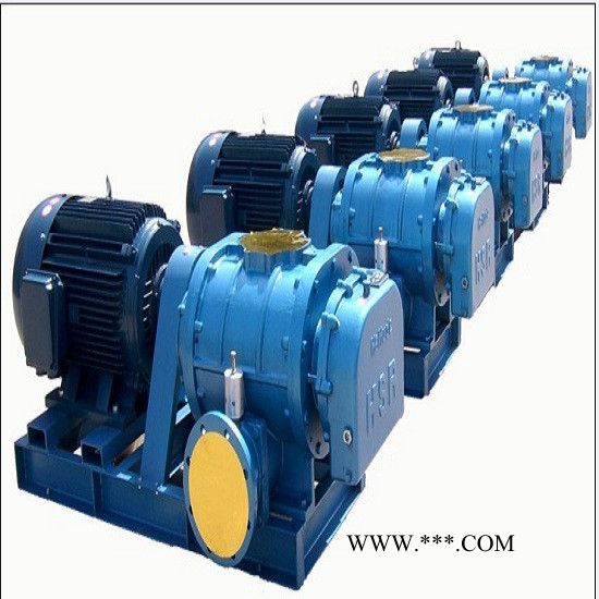 供应恒阳HYSR150供应罗茨鼓风机 供应罗茨鼓风机/ 罗茨鼓风机/三叶罗茨风机图3